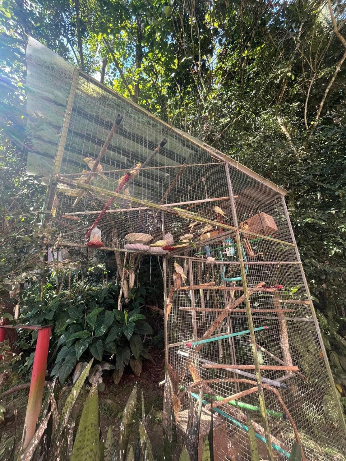 Balneário CamboriúApe Do Salomao公寓 外观 照片